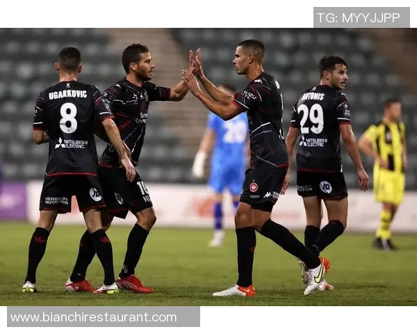 墨尔本城与悉尼FC精彩对决直播全程回顾与分析